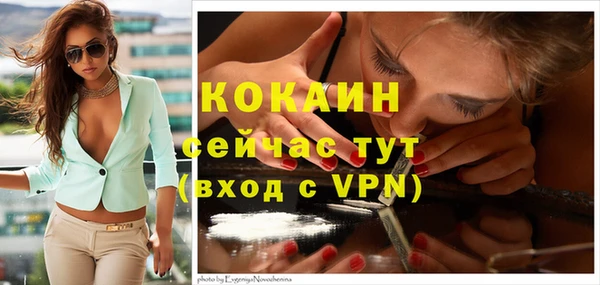 винт Сафоново