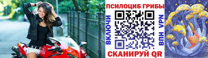 Галлюциногенные грибы GOLDEN TEACHER  цена наркотик  Тихвин 