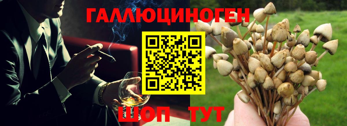 Тихвин  Псилоцибиновые грибы MAGIC MUSHROOMS  купить наркотики сайты  Вход с VPN 